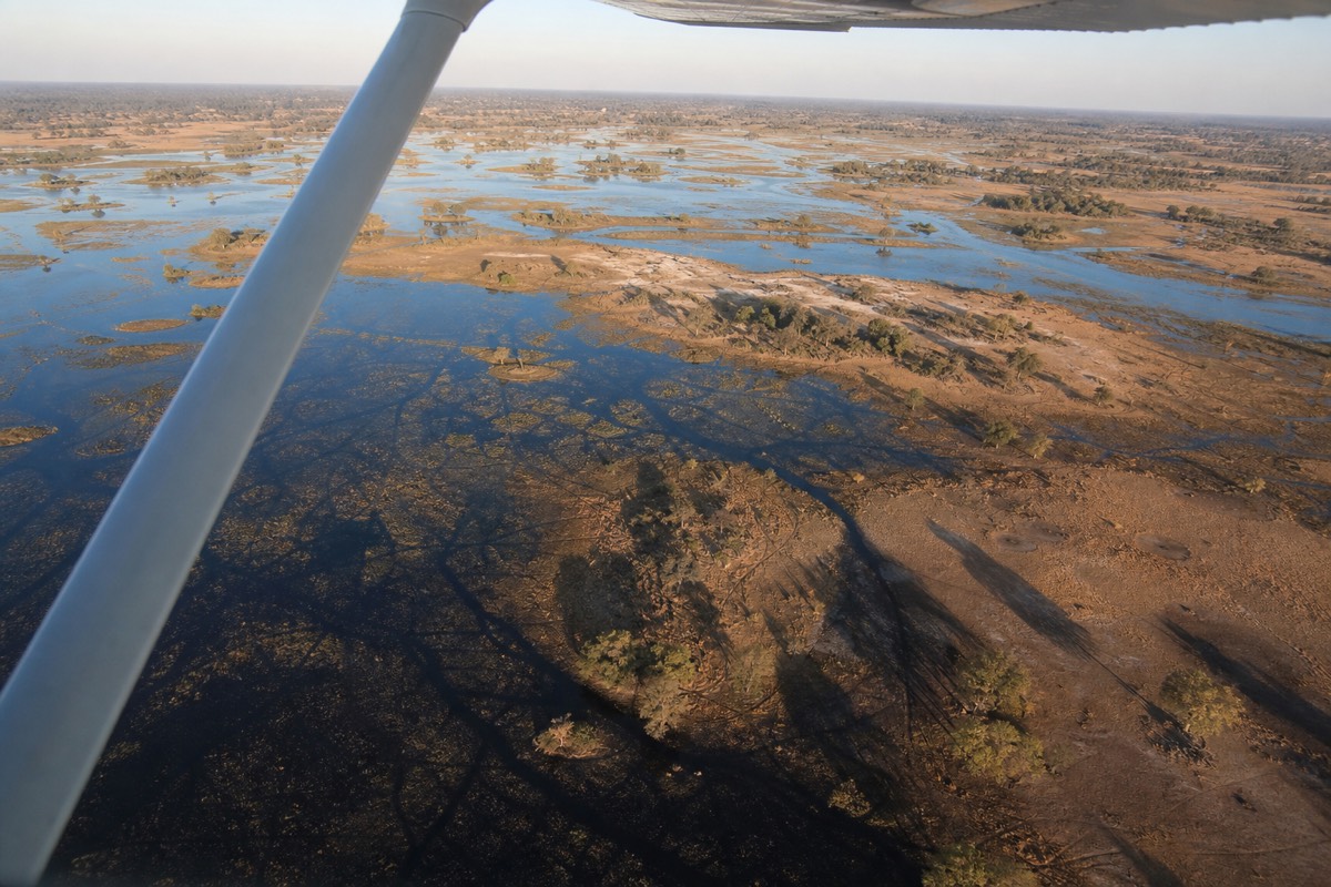A light aircraft on the short hop between Maun and a delta airstrip