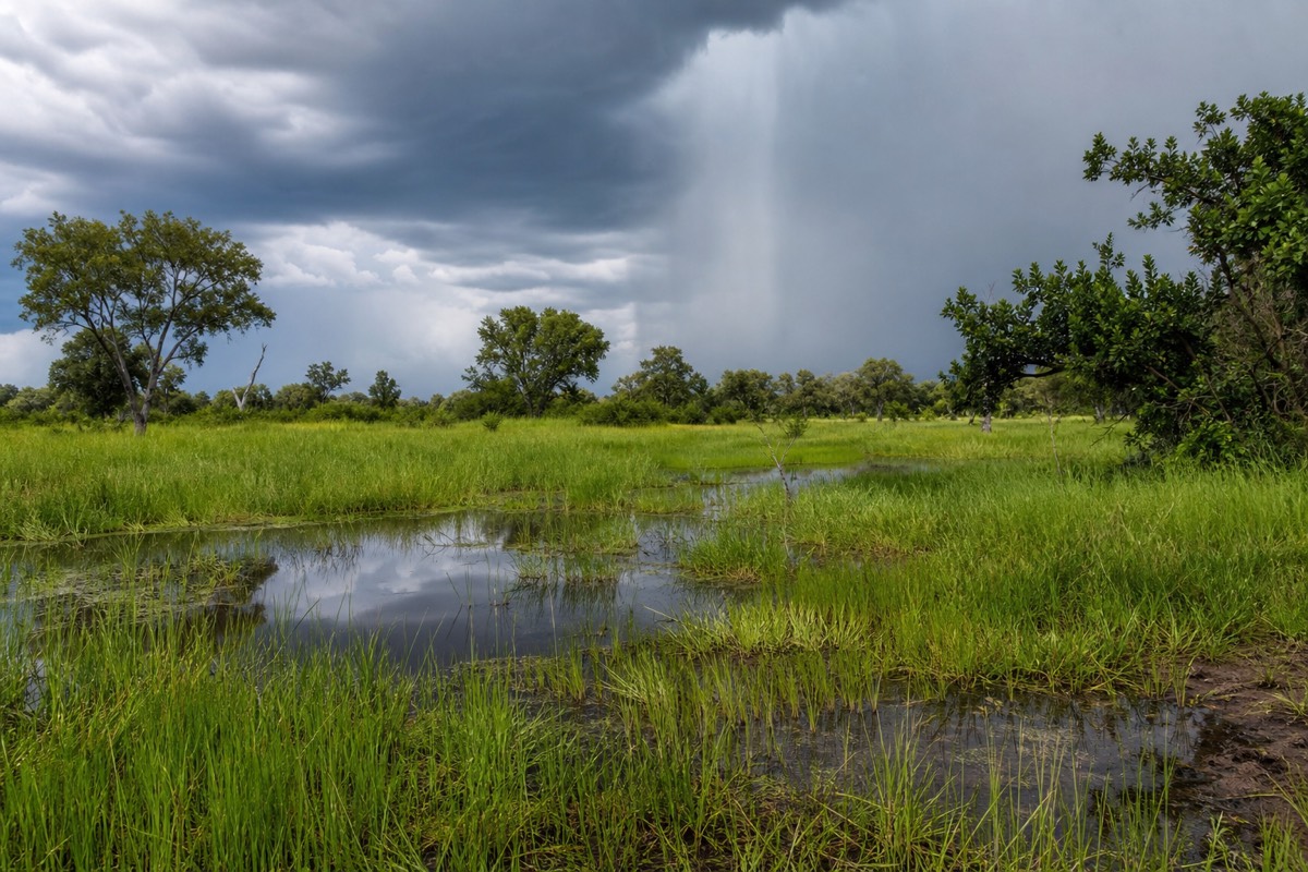 The delta in the green season, after the local rains arrive