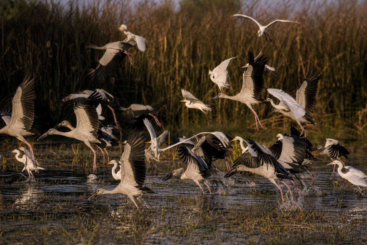 The Okavango Delta in northern Botswana
