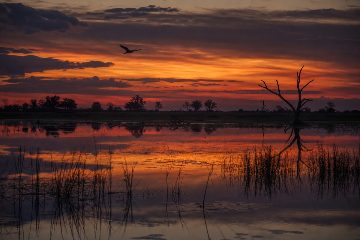 The Okavango Delta in northern Botswana