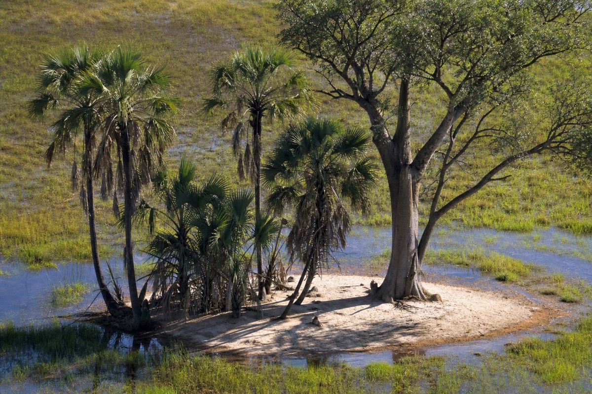 The Okavango Delta in northern Botswana