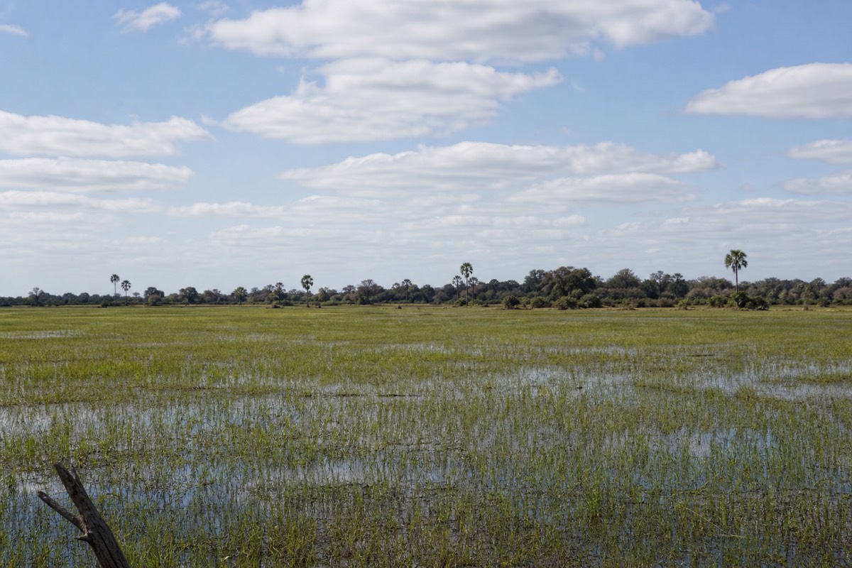The Okavango Delta in northern Botswana