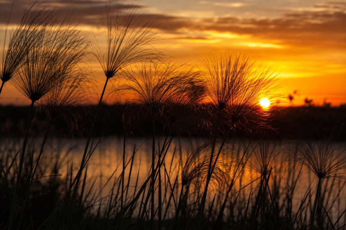 The Okavango Delta in northern Botswana