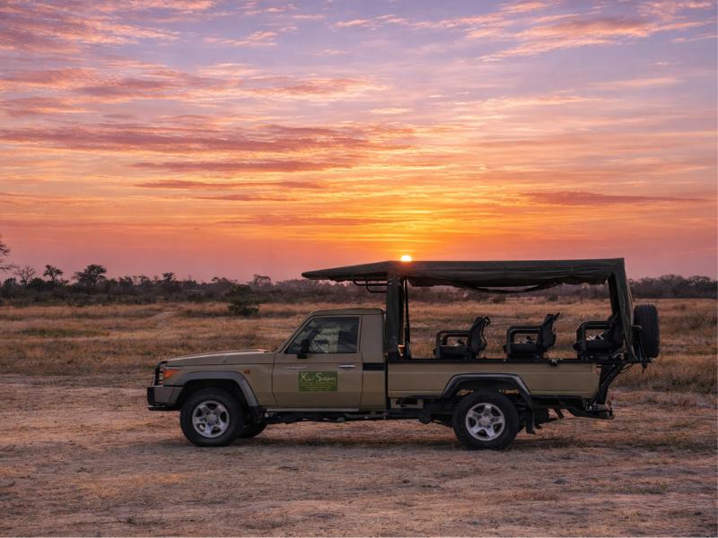 Maun to Central Kalahari: 3-Day Safari Tour & Bush Experience