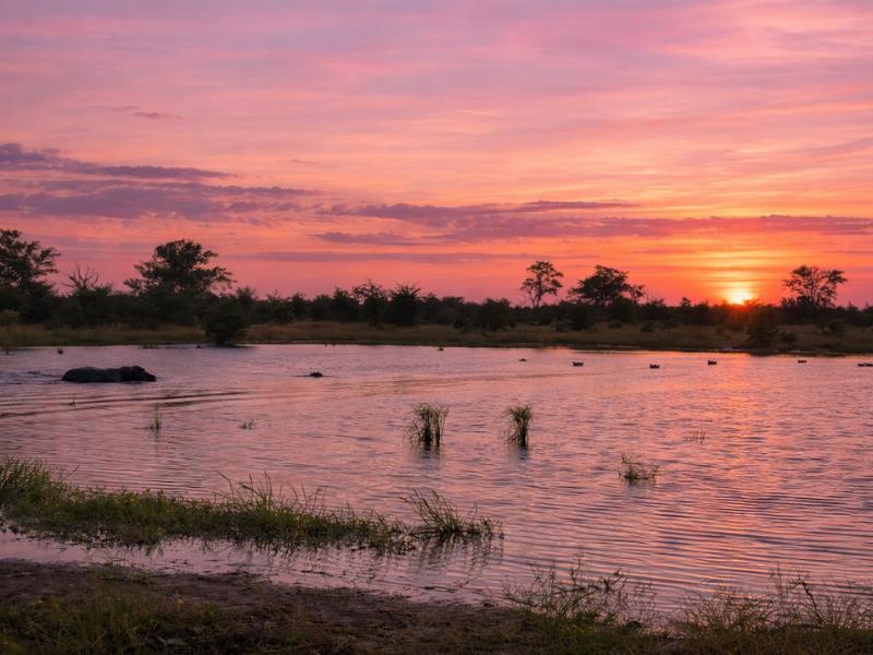 our mission in Okavango